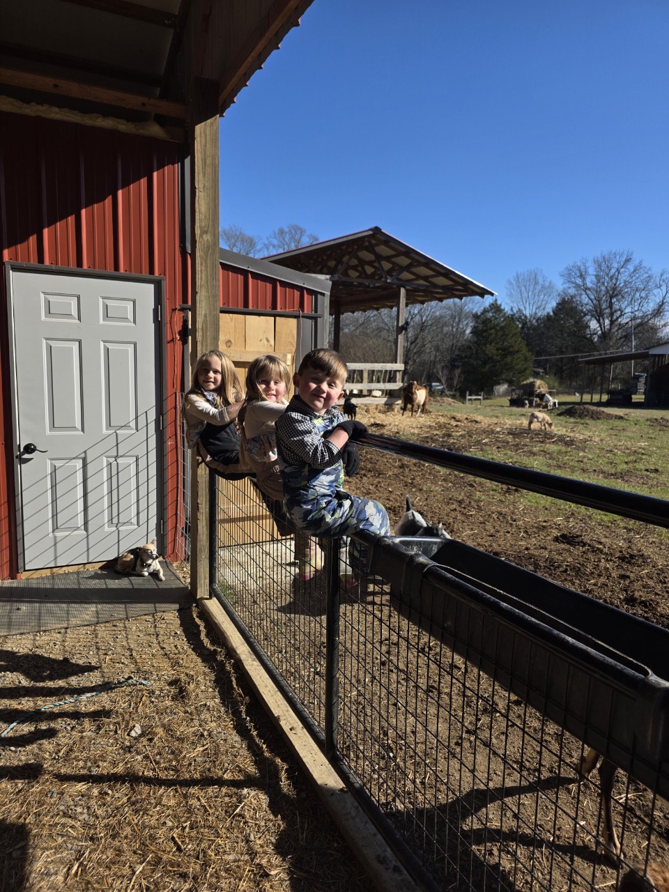 Kids helping on the farm