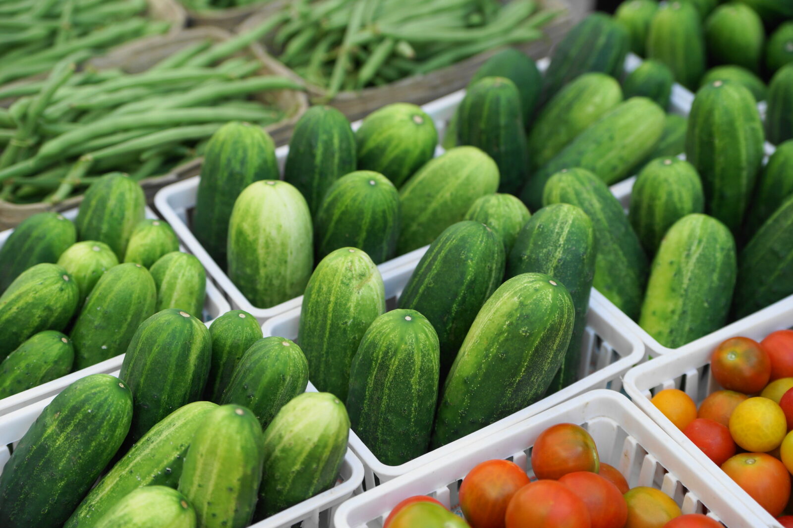 Fresh seasonal vegetables from the garden